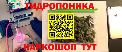 гашик Ливны
