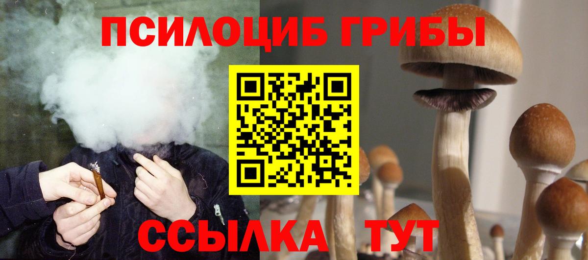 Псилоцибиновые грибы GOLDEN TEACHER  Вход с VPN  Старая Русса  Галлюциногенные грибы Cubensis 